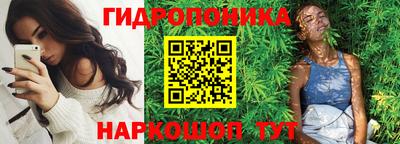 твердый Лесосибирск