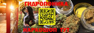 твердый Лесосибирск