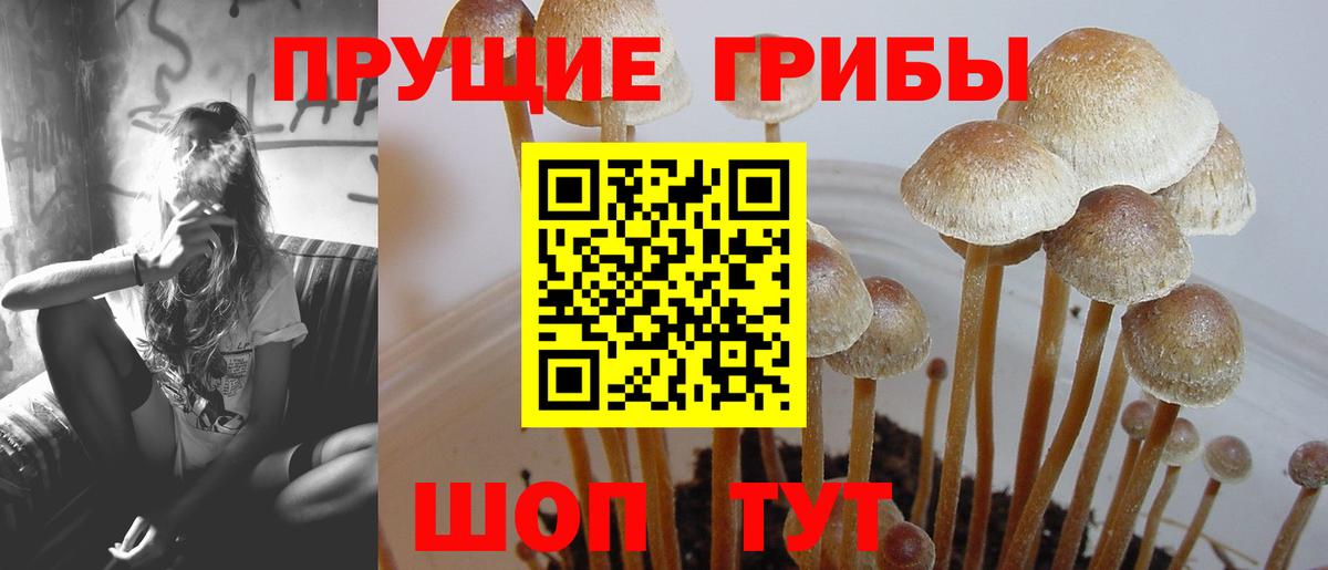 Десногорск  Псилоцибиновые грибы ЛСД  Вход с VPN  Псилоцибиновые грибы мухоморы 