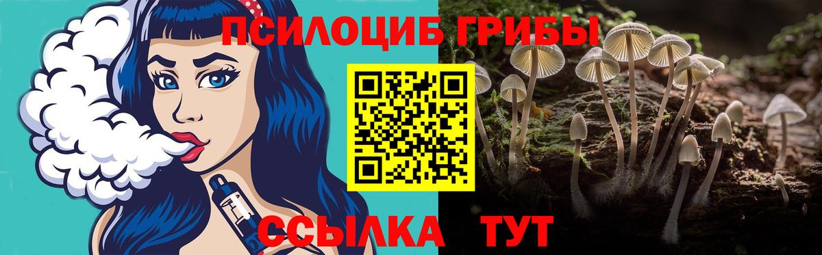 Галлюциногенные грибы GOLDEN TEACHER Десногорск